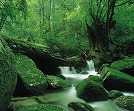 屋久島