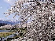 角館