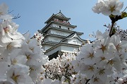 鶴之城公園
