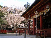 塩竈神社