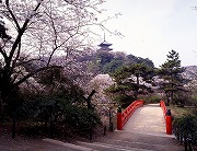 三渓園