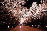 高田公園