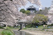 岡崎公園