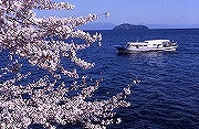海津大崎