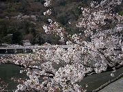 嵐山