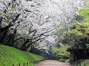 後楽園