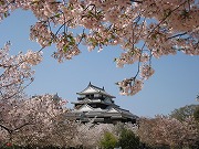 城山公園