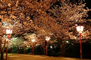 小城公園