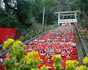 千葉県・勝浦市　かつうらビッグひな祭り