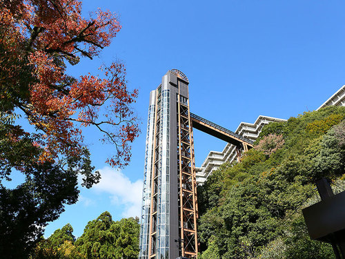 全景