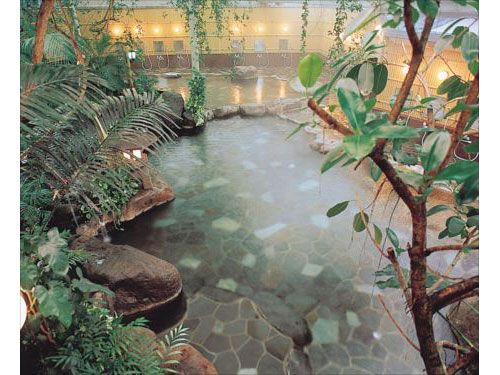 公共溫泉（例子）