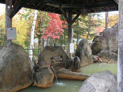 公共溫泉（例子）