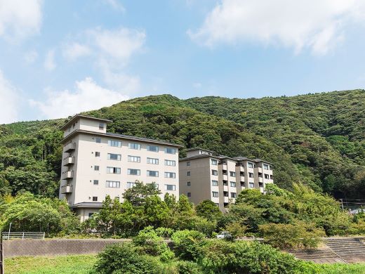 全景