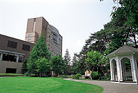 入口