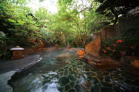 公共溫泉（例子）